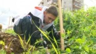 Аллея из 50-ти молодых дубков теперь украшает территорию возле центральной библиотеки