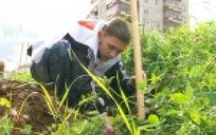 Аллея из 50-ти молодых дубков теперь украшает территорию возле центральной библиотеки