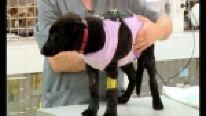 "Несъедобное" меню.