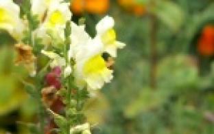 Жители улицы Комсомольская позаботились о досуге своих детей и внуков сами