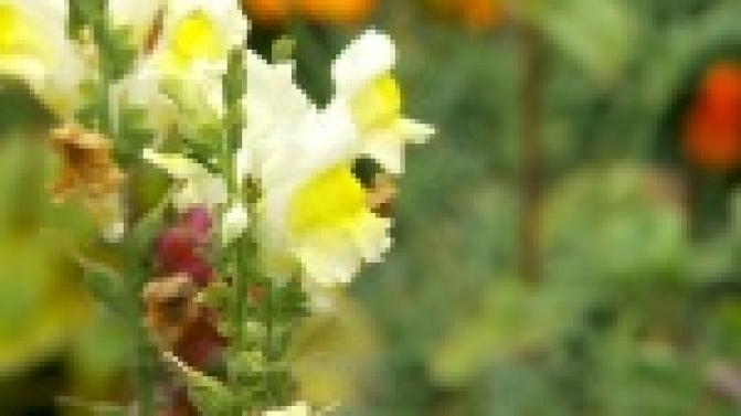 Жители улицы Комсомольская позаботились о досуге своих детей и внуков сами