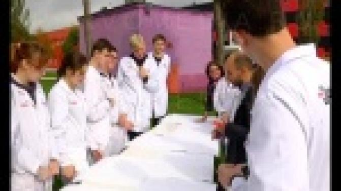 Творчески посмотреть на траекторию полёта птиц и запечатлеть это на бумаге