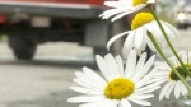 В Перворуалське не утихают споры о реконструкции улицы Дружбы