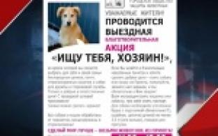 Делать добро может каждый