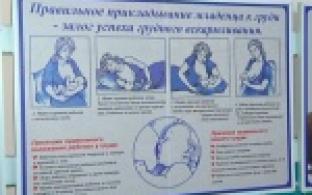 Реализованная нежность матери