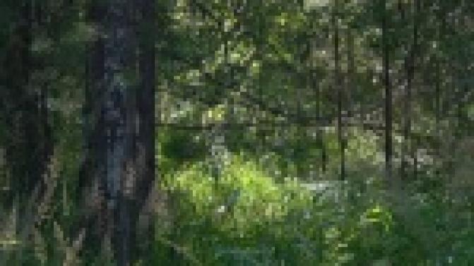 Четырехлетняя девочка ускользнула от отца на прогулке