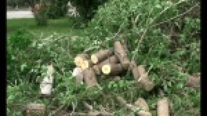 В Первоуральске косят траву, подрезают деревья и ремонтируют фасады домов