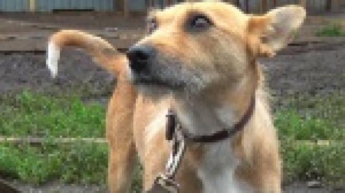 Им тоже нужен дом