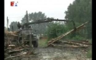 В посёлке Доломитовый под Первоуральском погиб десятилетний ребёнок