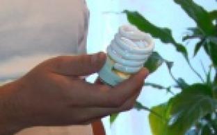 Куда выкидывать отходы первого класса опасности?