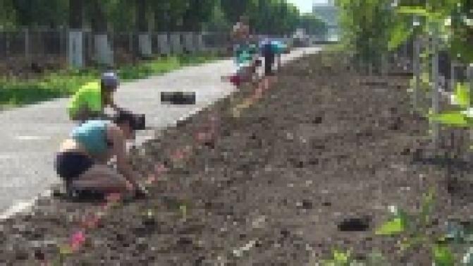 Яркие цветы на аллеях и высокие ограждения у дорог появляются на центральных улицах города