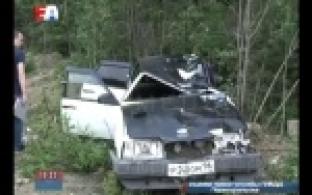 Лось вышел на дорогу, а водитель ВАЗа не успел соорентироваться. В итоге - страшная трагедия.