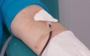 Первоуральские доноры не так давно отметили международный праздник