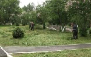 Работники коммунальной сферы завершают работы по озеленению главных городских аллей и скверов