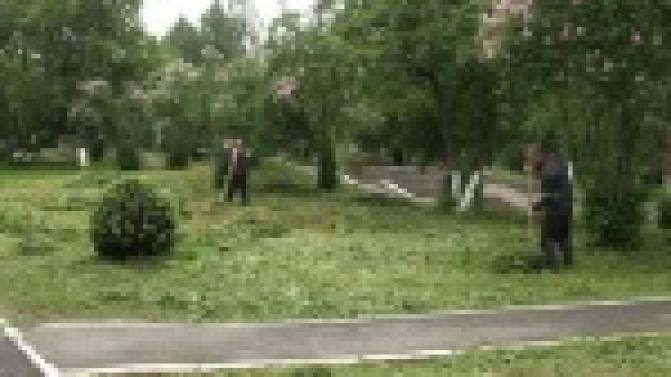 Работники коммунальной сферы завершают работы по озеленению главных городских аллей и скверов