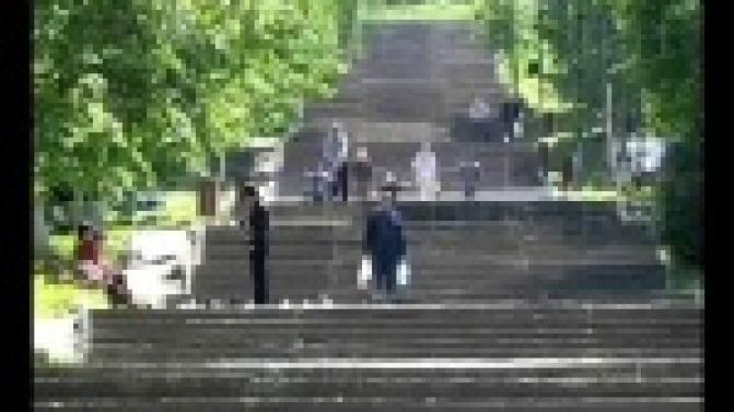 Украсим город цветами.