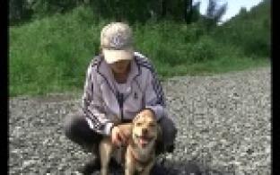 Пример доброты.