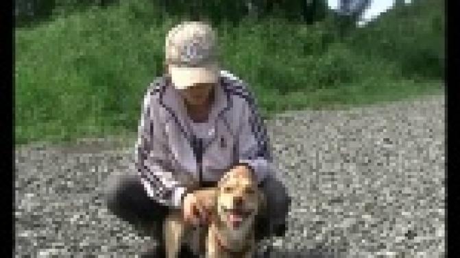 Пример доброты.