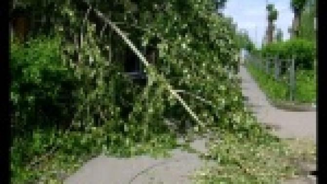 Поваленные деревья и оборванные провода.