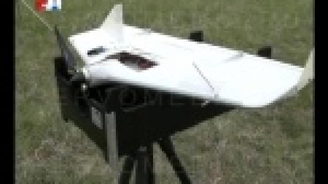 С высоты птичьего полёта