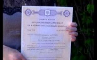 Поддержка для молодых семей