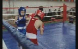 Первоуральские боксёры стали победителями турнира, посвящённого памяти тренера Сергея Романова.