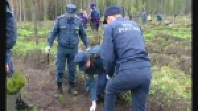 "Лес Победы" появился в Первоуральске.