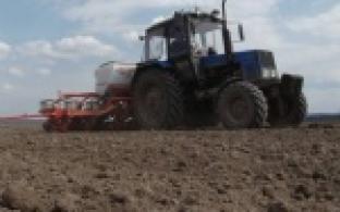 В СПКа Битимский полным ходом идет посевная