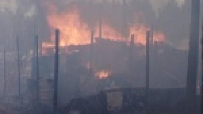 В коллективном саду №12 сгорело два домика и одна баня