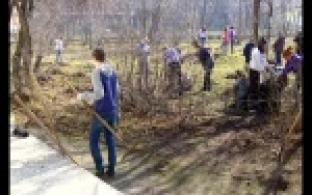 Центральные улицы чистят от мусора и грязи.