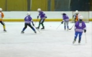 Турнир по хоккею с мячом "Кубок победы" стартовал сегодня в Ледовом дворце.