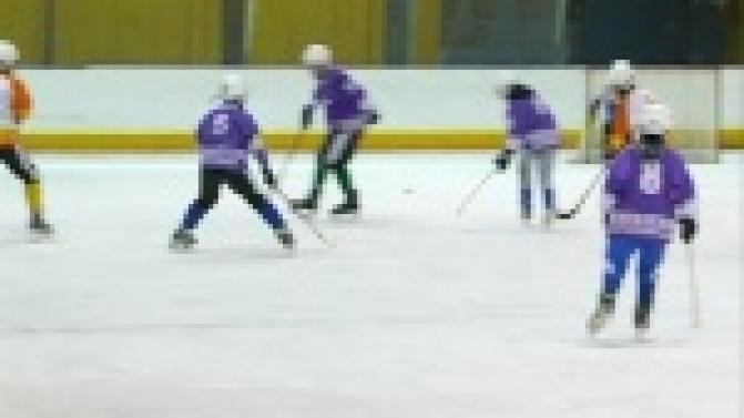 Турнир по хоккею с мячом "Кубок победы" стартовал сегодня в Ледовом дворце.