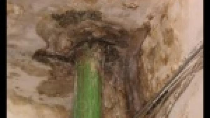 Представители управляющей компании "Дом плюс" прокомментировали итоги расследования жителей по поводу финансовой деятельности организации