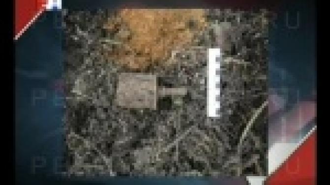 Чего только не найдешь на своем участке с началом садовых работ