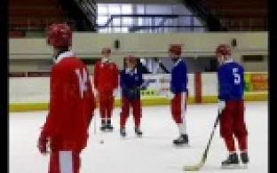 Готовят сани летом.