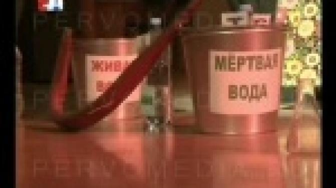 Юные первоуральцы учатся беречь природу.