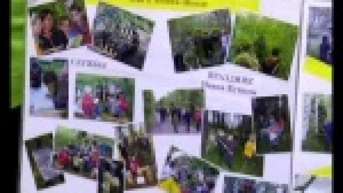 Педагоги и руководители организаций отдыха поделились друг с другом опытом на форуме "Россыпи Уральских каникул"