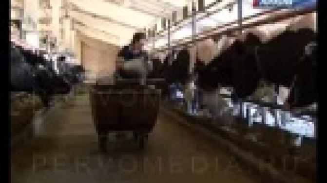 В новый этап - без проблем