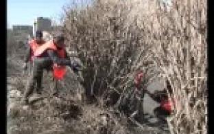 В Первоуральске запланирована большая уборка