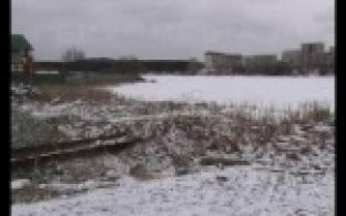 Строительный мусор вывозят неизвестные на берег Нижнего пруда.