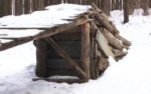 Тренировочная площадка среди леса.