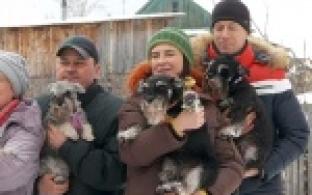 Блины для братьев меньших.