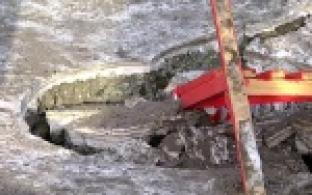 Как сквозь землю провалился.