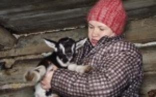 Серые, черные, рыжие! В Первоуральском зоопарке - значительное пополнение.