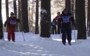 Все - на лыжи!