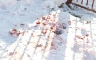 В 30-ти километрах от Первоуральска произошло убийство.