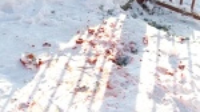 В 30-ти километрах от Первоуральска произошло убийство.