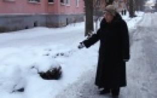 Защитите полисадник!