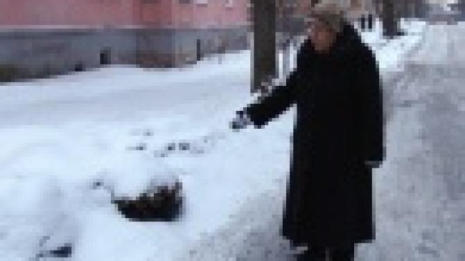 Защитите полисадник!