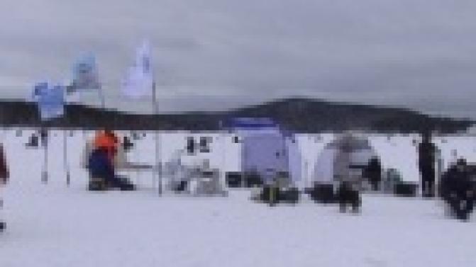 Человек ищет, где хорошо, а рыба, где глубоко